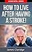 How To Live After Having A Stroke! (Living With... Series Book 2)