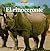 El rinoceronte (Spanish Edition)