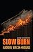 Slow Burn: An Andy Hayes Mystery (Andy Hayes Mysteries, #2)