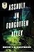 Assault in Forgotten Alley by David Y.B. Kaufmann