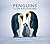 Penguins: Close Encounters