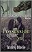 Possession of the Soul (The Fantasy is Alive #1)