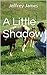 A Little Shadow by Jeffrey James