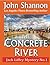 The Concrete River by John Shannon