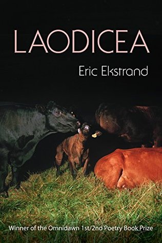 Laodicea (Paperback)