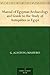 Manual of Egyptian Archaeol...