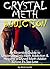 Crystal Meth Addiction by Brent Lewiki