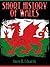 Short History of Wales