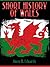 Short History of Wales
