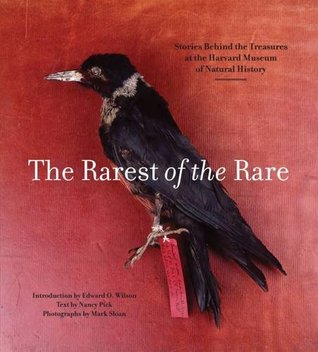 The Rarest of the Rare: Stories Behind the Treasures at the Harvard Museum of Natural History (Paperback)