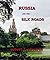 Russia And The Silk Roads