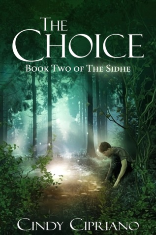 The Choice (The Sidhe, #2)