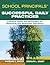 The School Principals' Guide to Successful Daily Practices: Practical Ideas and Strategies for Beginning and Seasoned Educators