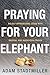 Praying for Your Elephant: Boldly Approaching Jesus with Radical and Audacious Prayer