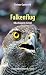 Falkenflug by Rainer Gottwald