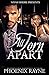 All Torn Apart by Phoenix Rayne