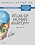 Atlas of Human Anatomy by Frank H. Netter Atlas of Human Anatomy by Frank H. Netter
