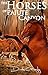 The Horses of Paiute Canyon