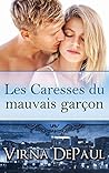 Les Caresses du mauvais garcon (Les Caresses des célibataires... by Virna DePaul