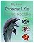My First Ocean Life Encyclopedia