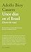 Unos días en el Brasil (Diario de viaje)
