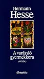 A varázsló gyermekkora (Mesék)