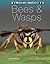 Bees & wasps