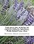 The Healing Power of Liquid Copals: The Original Pure Essential Oils
