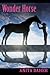 Wonder Horse