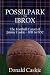 Possilpark to Ibrox: The Fo...