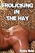 Frolicking In The Hay (Erotic Picture Book with Cock & Arse Pictures, Adult Gay Photos)