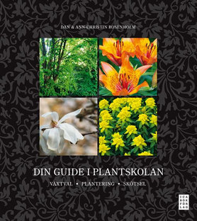Din guide i plantskolan: växtval, plantering, skötsel
