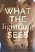 What the Lightning Sees: Pa...