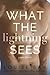 What the Lightning Sees: Part Three (Lightning, #3)