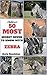 Zebra Books : 50 Most Secre...