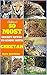 Cheetah For Kids : 50 Most ...