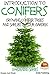 Introduction to Conifers - Growing Conifer Trees and Shrubs in Your Garden
