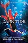 Dark Tide by Jennifer Donnelly
