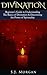 Divination: Beginner's Guid...