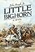 Little Bighorn