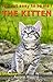 The Kitten - It’s not easy ...