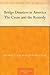 Bridge Disasters in America The Cause and the Remedy