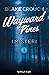 I misteri (Wayward Pines, #1)