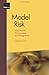 Model Risk - Identification...