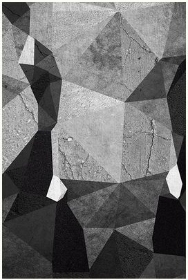 Dance Among Elephants (Paperback)