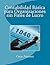 Contabilidad Básica para Organizaciones sin Fines de Lucro (Spanish Edition)