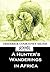 A Hunter's Wanderings in Africa by Frederick Courteney Selous