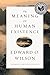 The Meaning of Human Existence