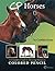 CP Horses: A Complete Guide...