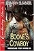 Boone's Cowboy (Rescue for Hire, #8)